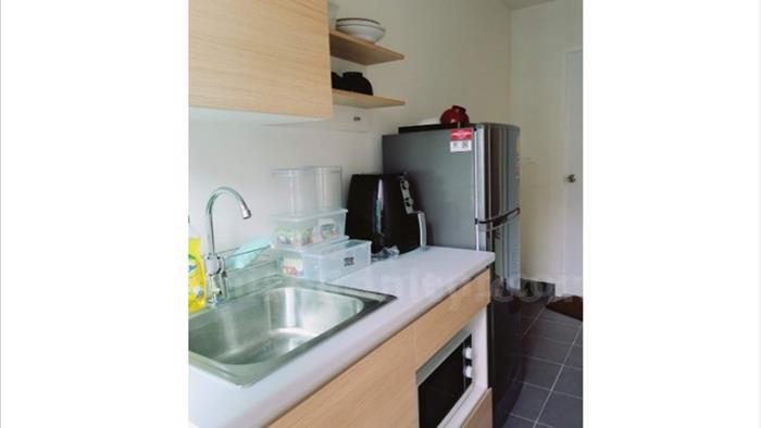  image4