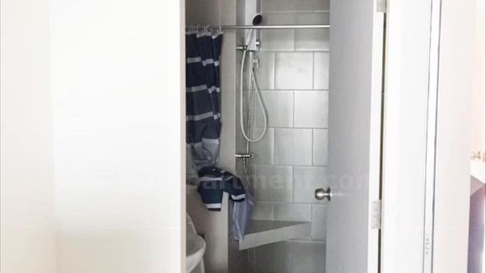  image4