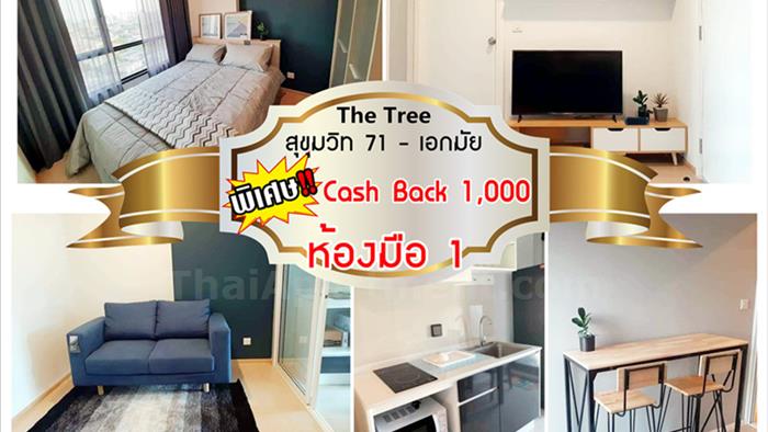 condominium-for-rent-the-tree-sukhumvit-71-ekamai