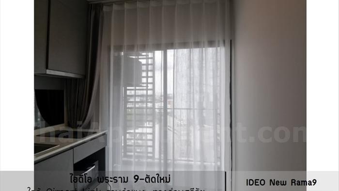 image4