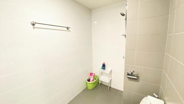  image4