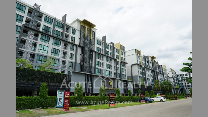 condominium-for-rent-the-treasure-by-my-hip