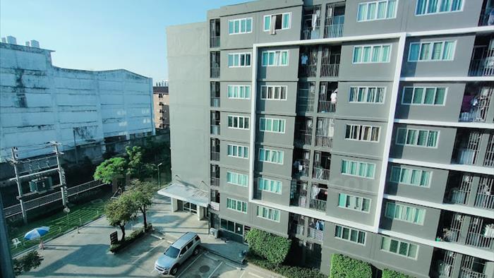  image5