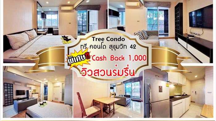 condominium-for-rent-treecondo-sukhumvit-42