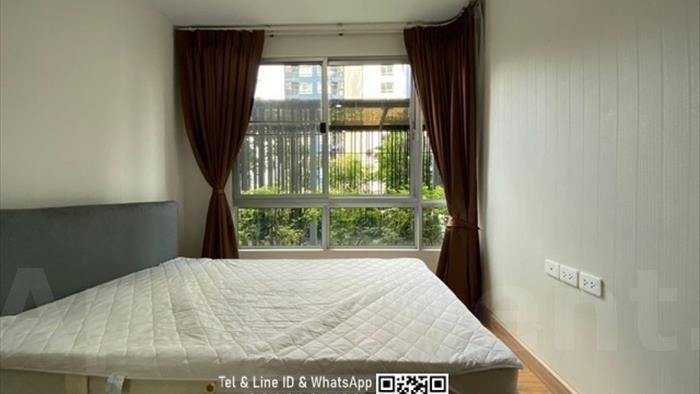 condominium-for-rent-the-base-sukhumvit-77