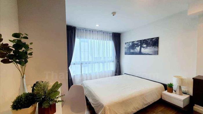 condominium-for-rent-the-room-sukhumvit-79