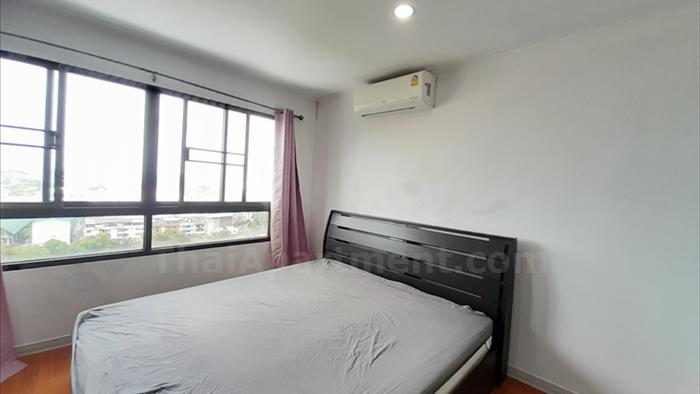  image4