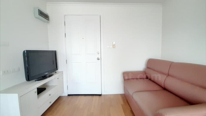  image5