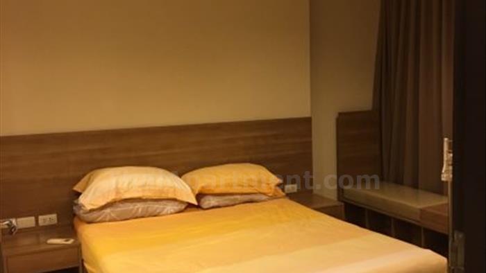  image2
