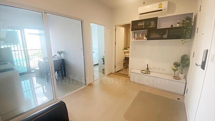 condominium-for-rent-the-tree-sukhumvit-71-ekamai