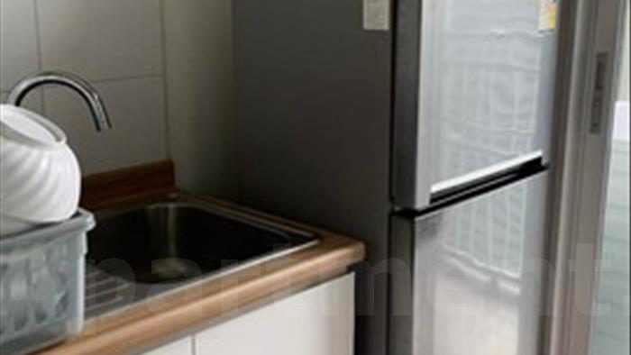  image5