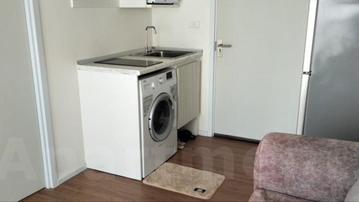  image4