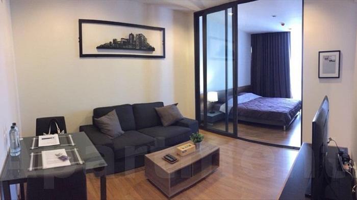 condominium-for-rent-hasu-haus