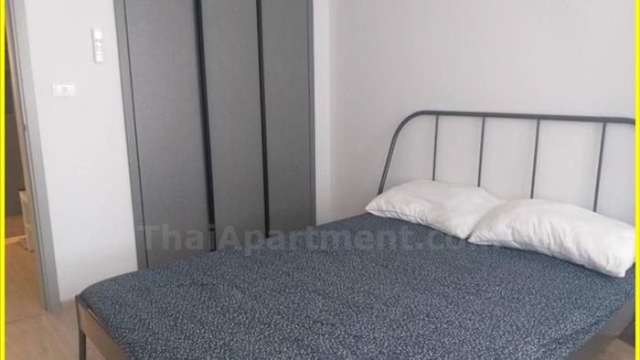  image3