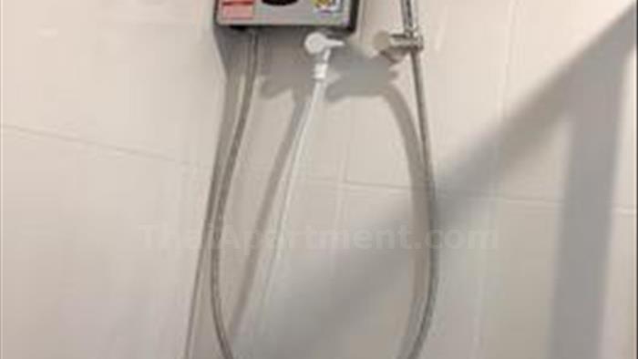  image3