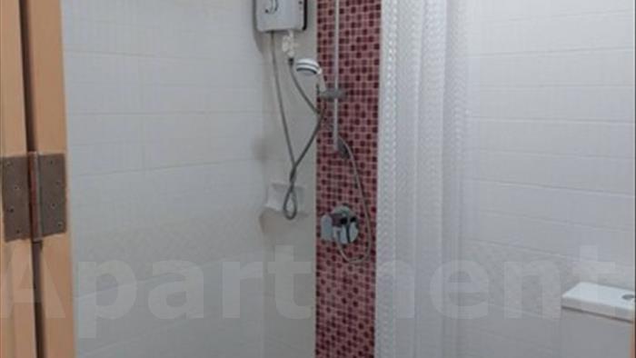  image4