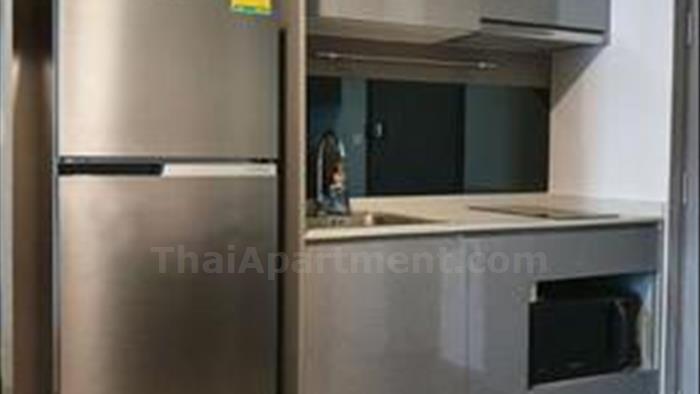  image3