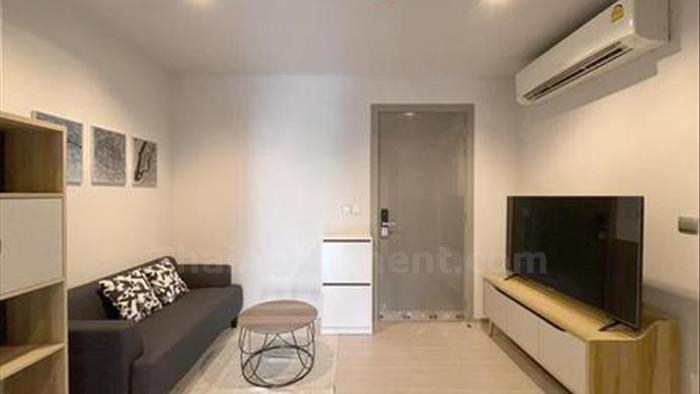  image5
