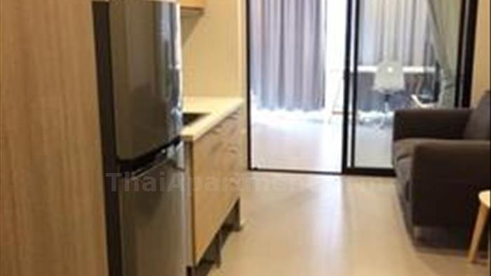  image3