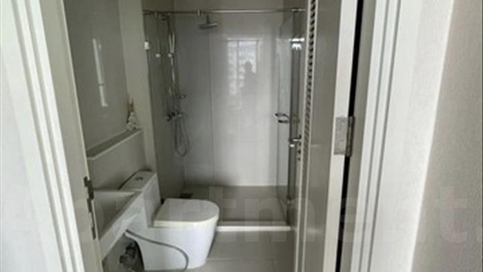  image5