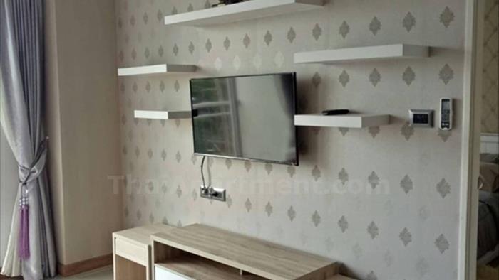  image4