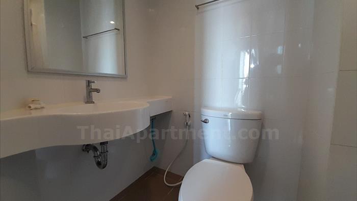  image5