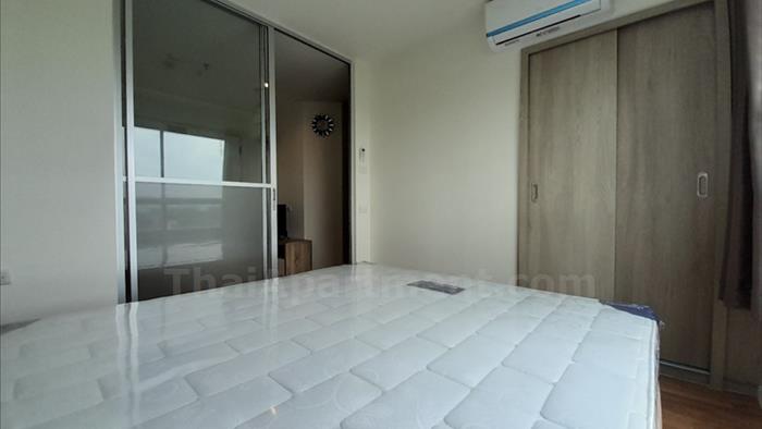  image4
