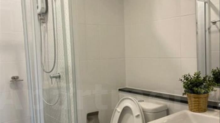  image3