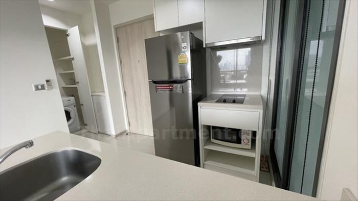  image4
