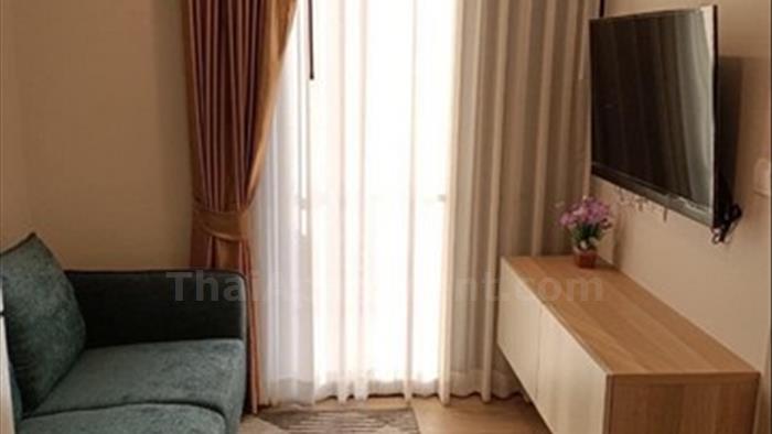  image2
