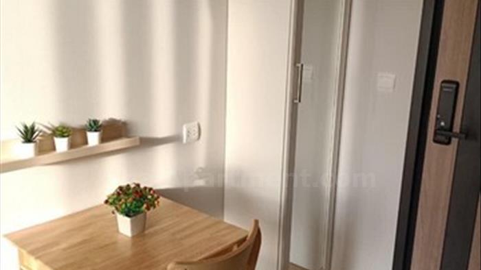  image5