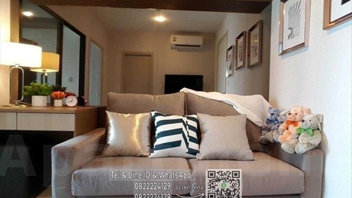  image3