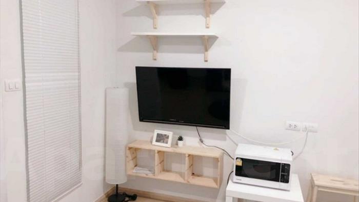  image4