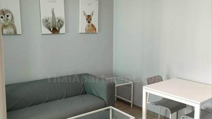  image4