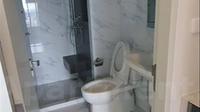  image4