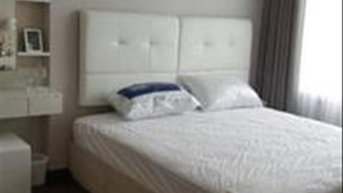  image4