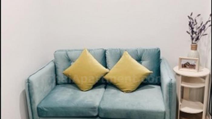  image4