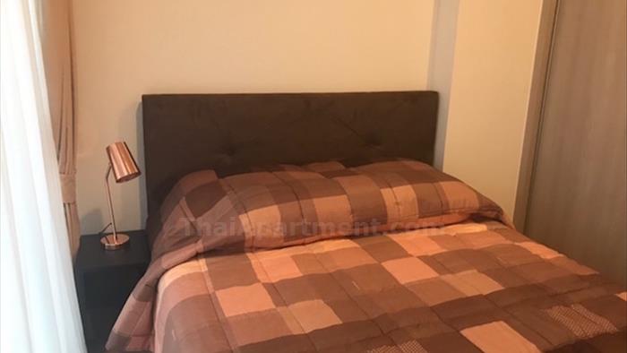  image3