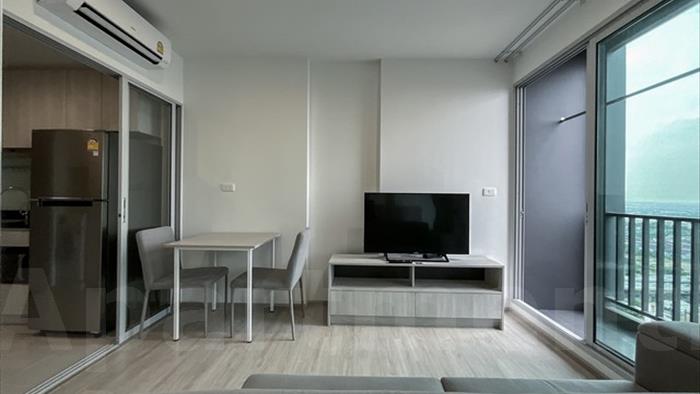  image4