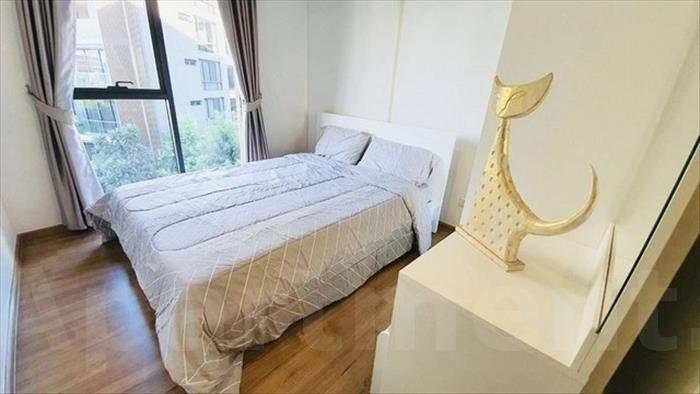 condominium-for-rent-hasu-haus