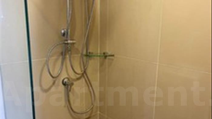  image4