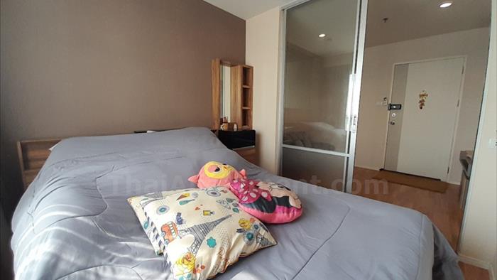  image3