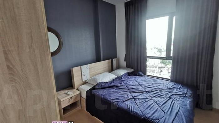 condominium-for-rent-the-tree-sukhumvit-71-ekamai