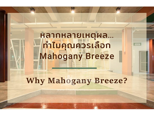 มะฮอกกานี บรีซ เซอร์วิส อพาร์ทเม้นท์ ระยอง image 2