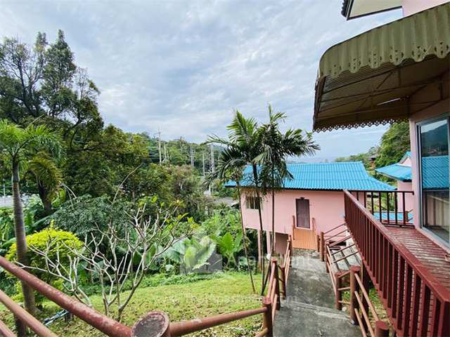 Kata Hill Guesthouse image 5