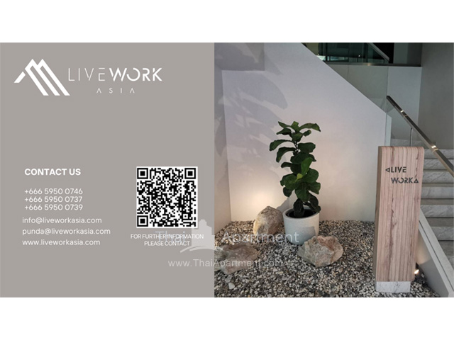 LiveWorkAsia image 7