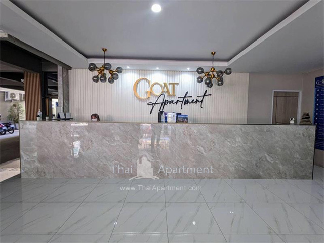 G Cat image 2