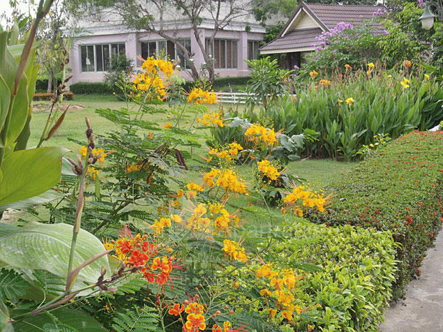 Natural Place Serviced Apartment  (Ayutthaya) image 9