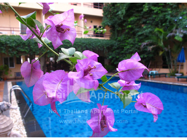 Opey De Place Hotel Pattaya  image 4