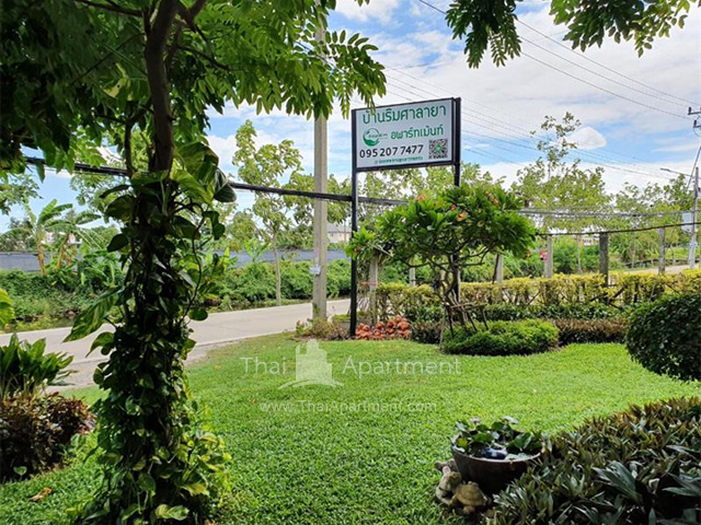 อพาร์ทเม้นท์ บ้านริมศาลายา,ใกล้โลตัสศาลายา,ม.ราชมงคลรัตนโกสินทร์,เซ็นทรัลศาลายา,แม็คโครศาลายา,ม.มหิดลศาลายา,วิทยาลัยนาฏศิลป์ศาลายา image 11